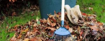 В Кілії комунальне підприємство пропонує послугу з вивозу відходів і опалого листя